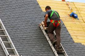 Best Roof Maintenance and Cleaning  in Riverdale, IL